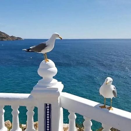 Apartamento Sun Beach Benidorm Dış mekan fotoğraf