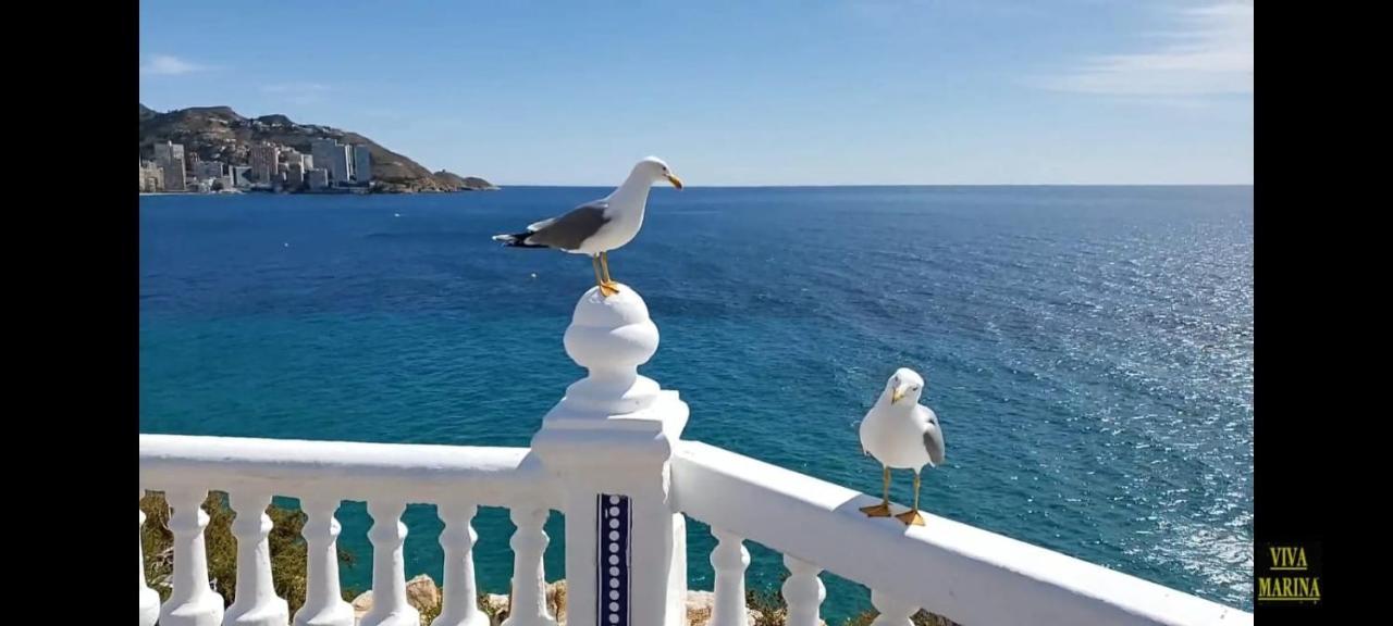 Apartamento Sun Beach Benidorm Dış mekan fotoğraf