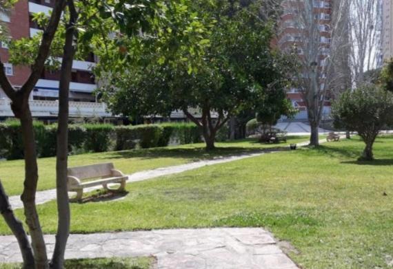 Apartamento Sun Beach Benidorm Dış mekan fotoğraf