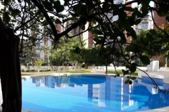 Apartamento Sun Beach Benidorm Dış mekan fotoğraf