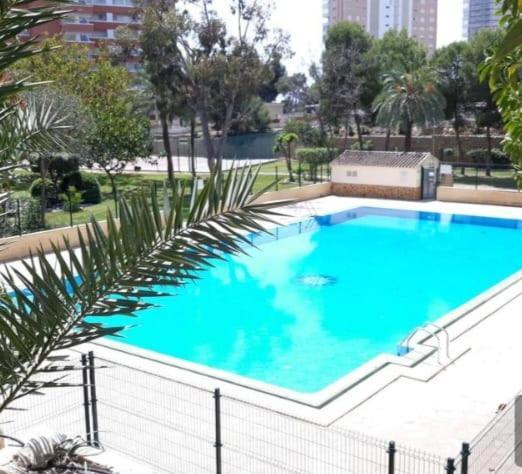 Apartamento Sun Beach Benidorm Dış mekan fotoğraf