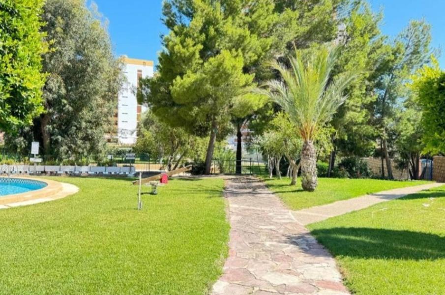 Apartamento Sun Beach Benidorm Dış mekan fotoğraf